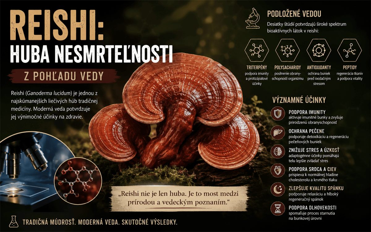 Lesklá červenohnedá plodnica reishi na drevenom kmeni